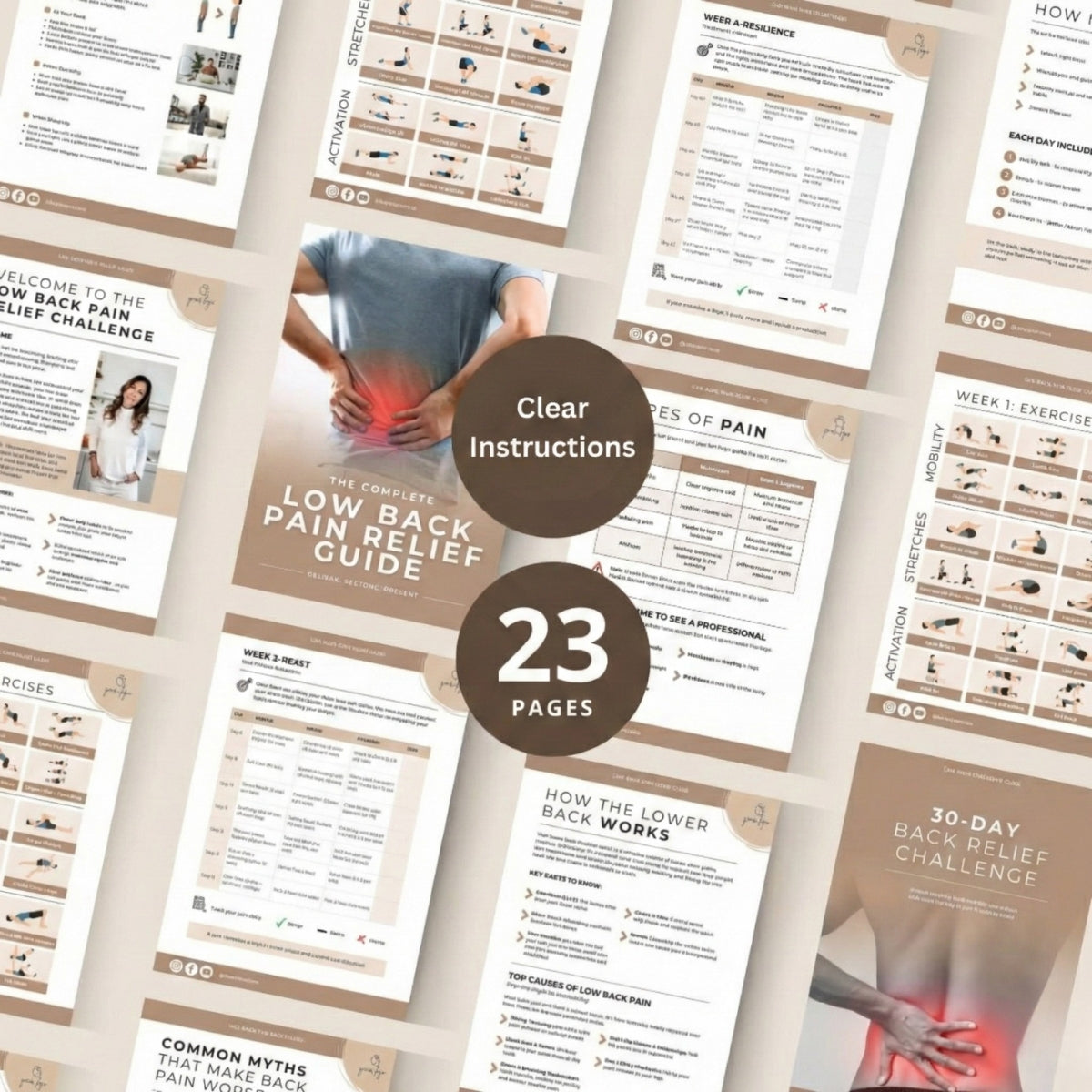 The Lower Back Blueprint