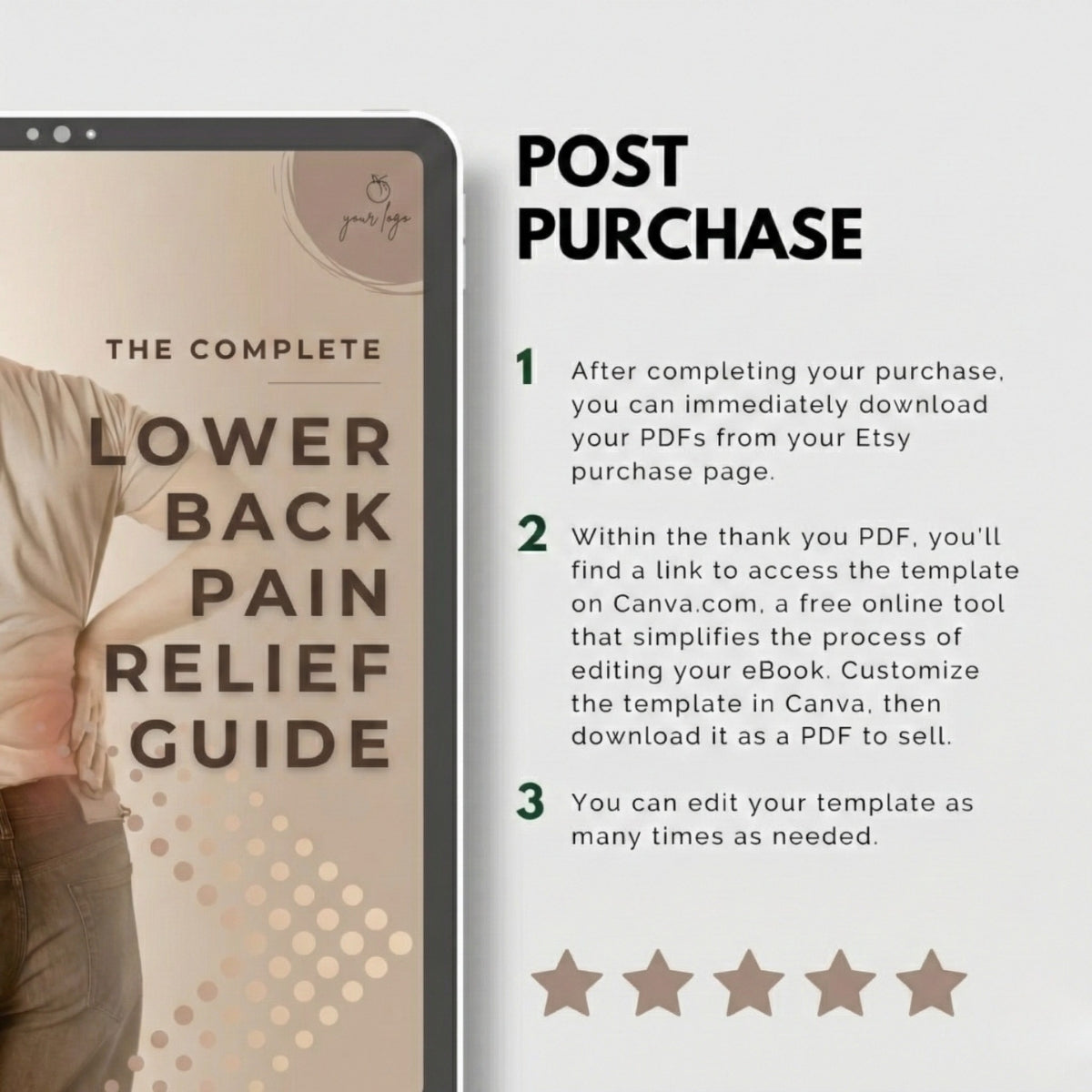 The Lower Back Blueprint